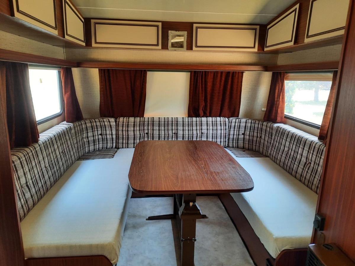 Mobil Sur Grand Terrain Cloture Et Arbore Campsite Sisteron